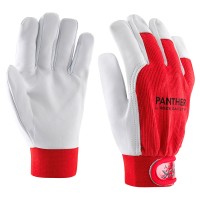 Goat grain leather driver glove Goat grain leather driver glove